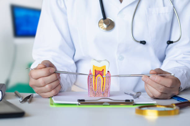 Best Urgent Care for Lost Fillings or Crowns in Kings Mountain, NC